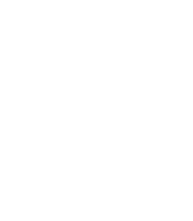 sp_bnrhalf_company
